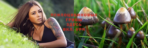 хмурый Абдулино