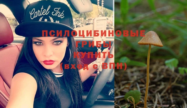 герыч Абаза
