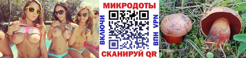 кракен   Лангепас  Галлюциногенные грибы Magic Shrooms 